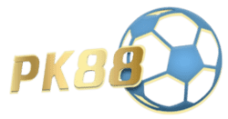 sudoku puzzles solver
